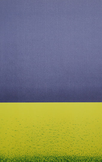 Maria Hillfon  www.hillfon.com  Åskraps - Thunder Colza, 50x80 litografi, lito